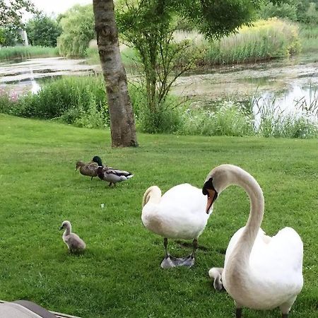 Cotswolds Lake Side Home With Luxury Spa Swallows Nest,Lower Mill Estate, Lakeside Home And Spa With A Harry Potter Cupboard Under The Stairs Somerford Keynes Extérieur photo